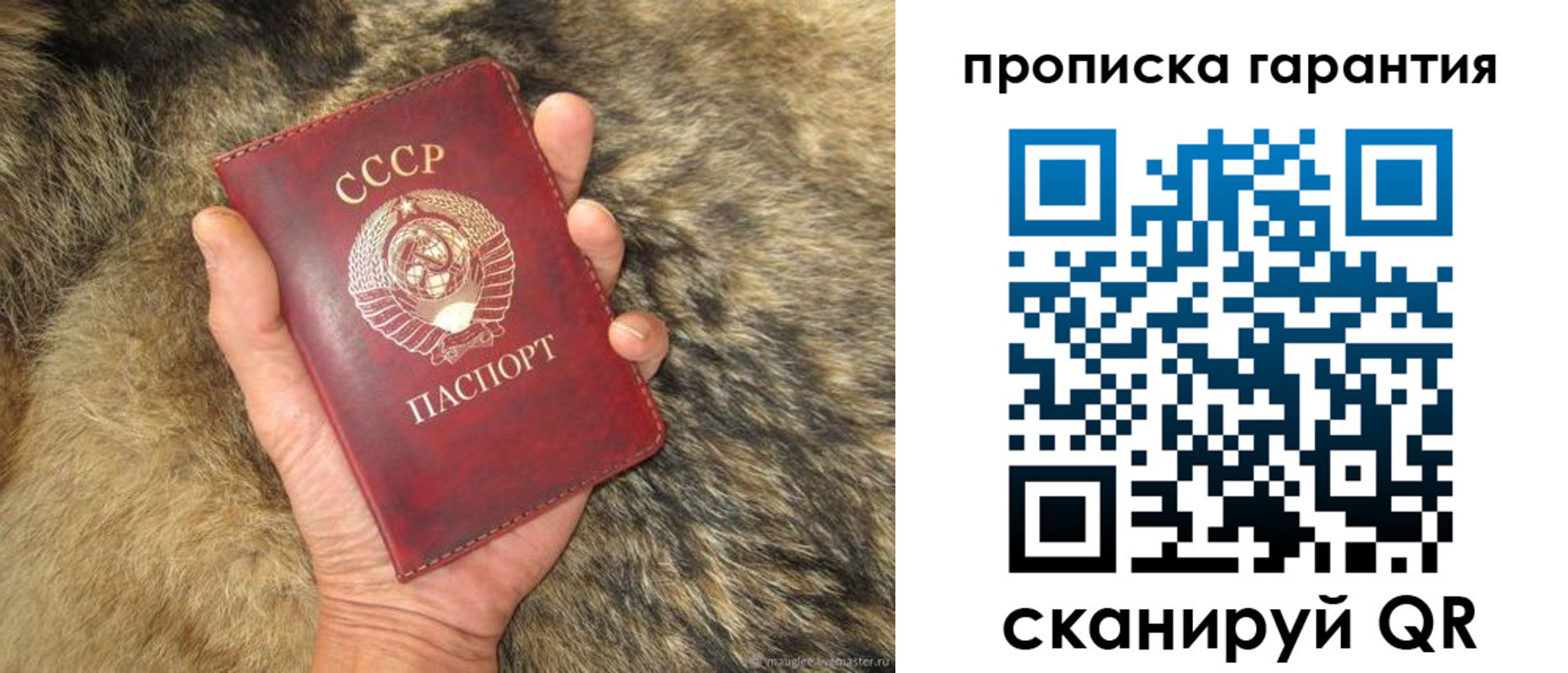 прописка паспорт в Михайловке
